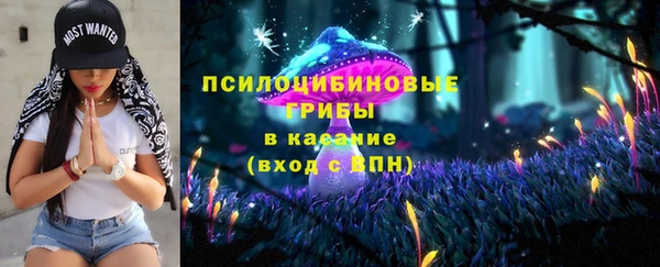 дмт Михайловск