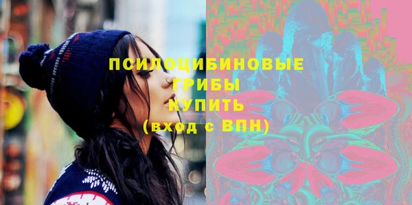 дмт Михайловск