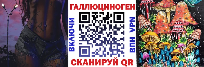закладки  Берёзовский  Галлюциногенные грибы прущие грибы 